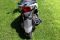 Скутер SYM Symphony SR 125 Серебро, арт. AZ12W1-T_S880S
