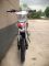 Питбайк BSE EX125 14/12 Red (015), арт. B0EXDF015CRH2
