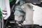 Питбайк BSE MX 17/14 Green (040), арт. B0MXYG040EGG3