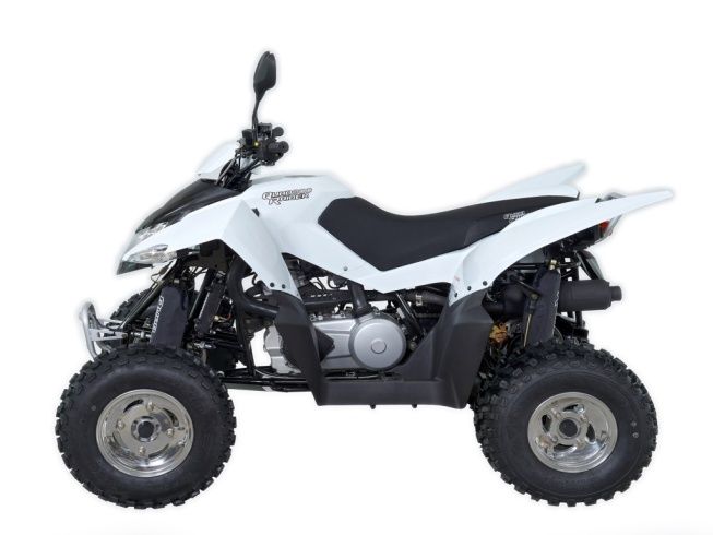 Квадроцикл QuadRaider 300 SS, арт. QR-300SS-GREEN
